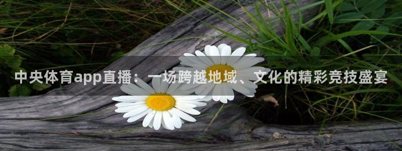 中央体育app直播：一场跨越地域、文化的精彩竞技盛宴