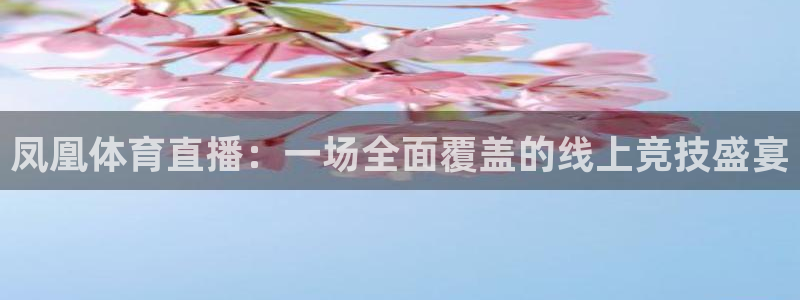 凤凰体育直播：一场全面覆盖的线上竞技盛宴